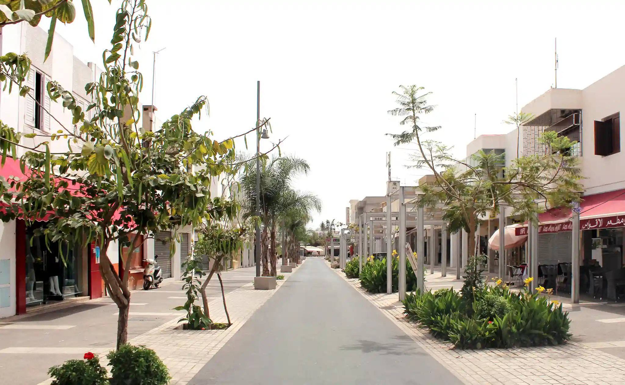 CAS Urban Regeneration of Talborjt Agadir TAL 1 Portada